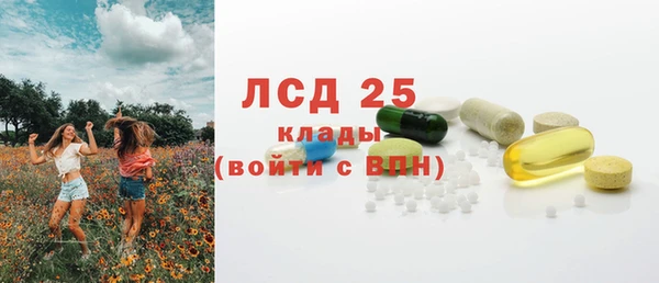 стаф Абинск