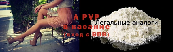 стаф Абинск
