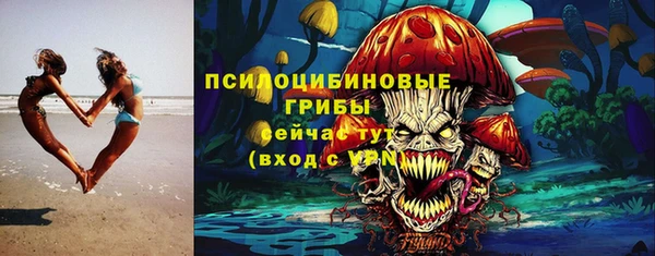 стаф Абинск