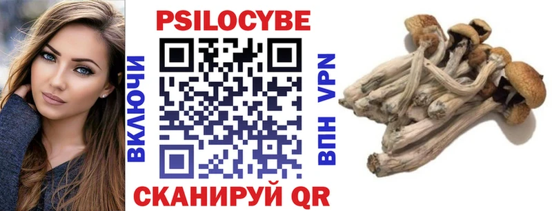 купить  цена  Хабаровск  Галлюциногенные грибы Psilocybe 