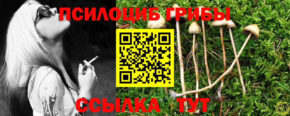 Галлюциногенные грибы мицелий Хабаровск